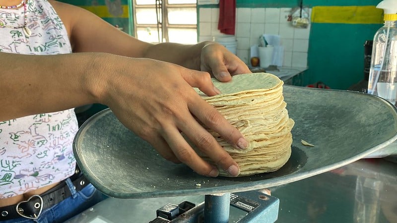 No descartan incremento al precio del kilo de tortilla en QRoo